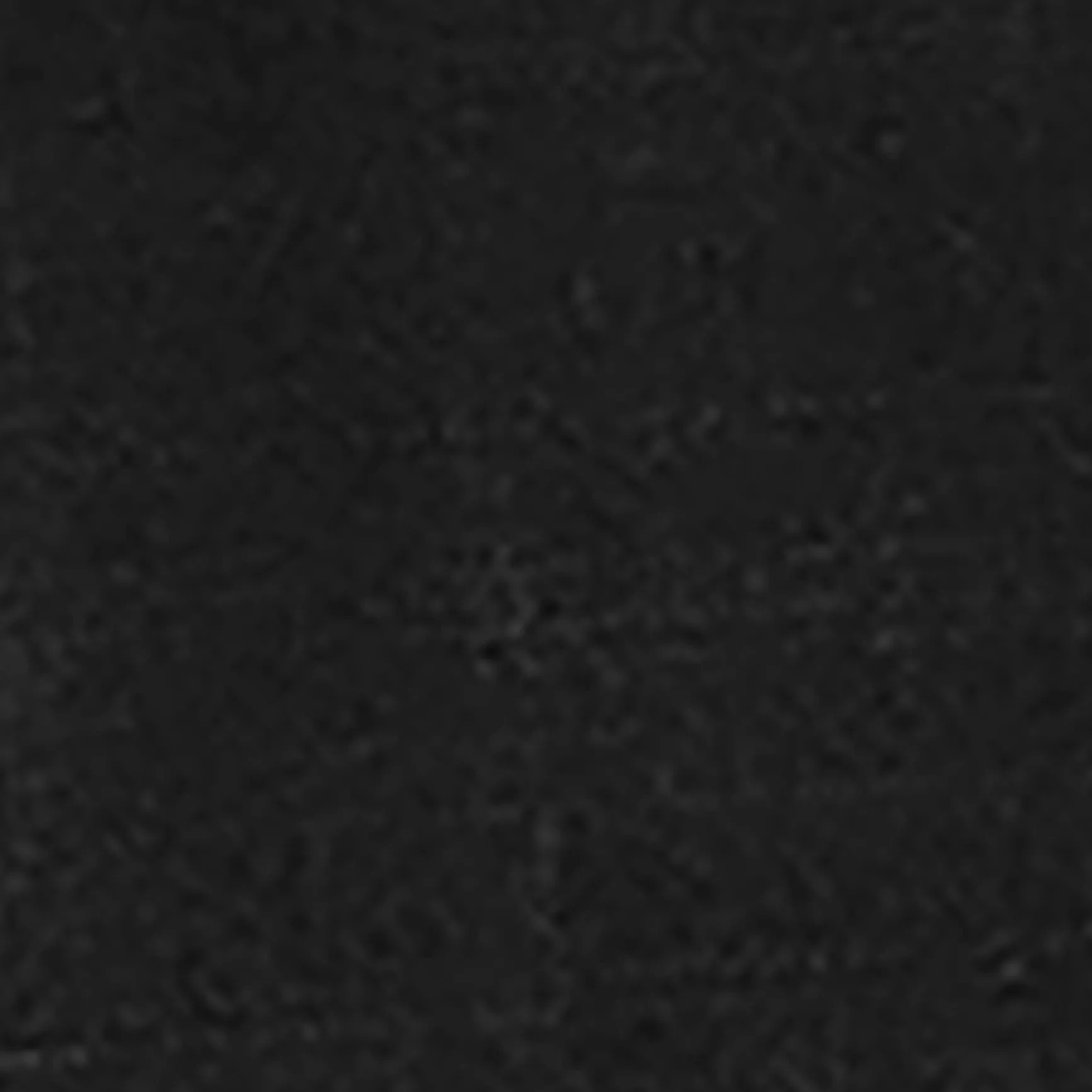 Fashion COS THE PLEATED TAILORED SHORTS Black